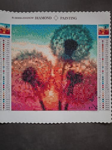 Customer photo review of Dandelions on the lakeshore | Diamond Painting Kit