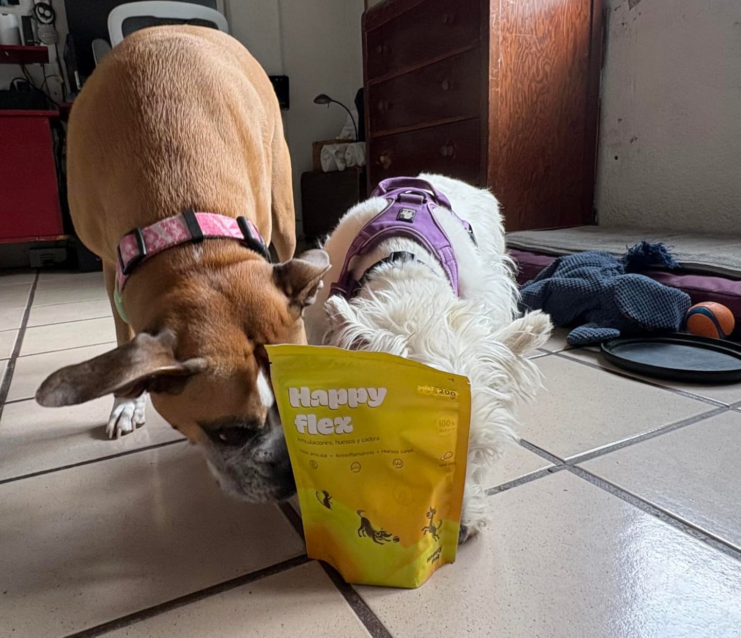 Customer photo review of Happy Pal I Happy Flex I Suplemento Para Articulaciones de Perros y Gatos