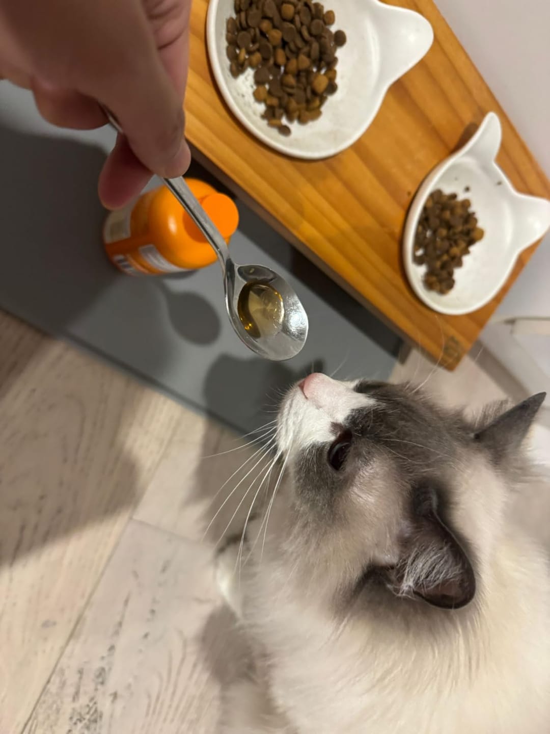 Customer photo review of Wild Alaska Omega-3 Pet Oil