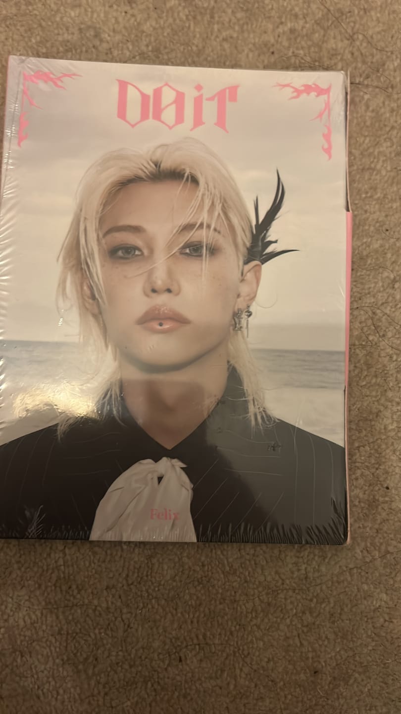 Customer photo review of [NEW]  Stray Kids – Special Single Album – [SKZ IT TAPE : DO IT] (ACCORDION VER.)