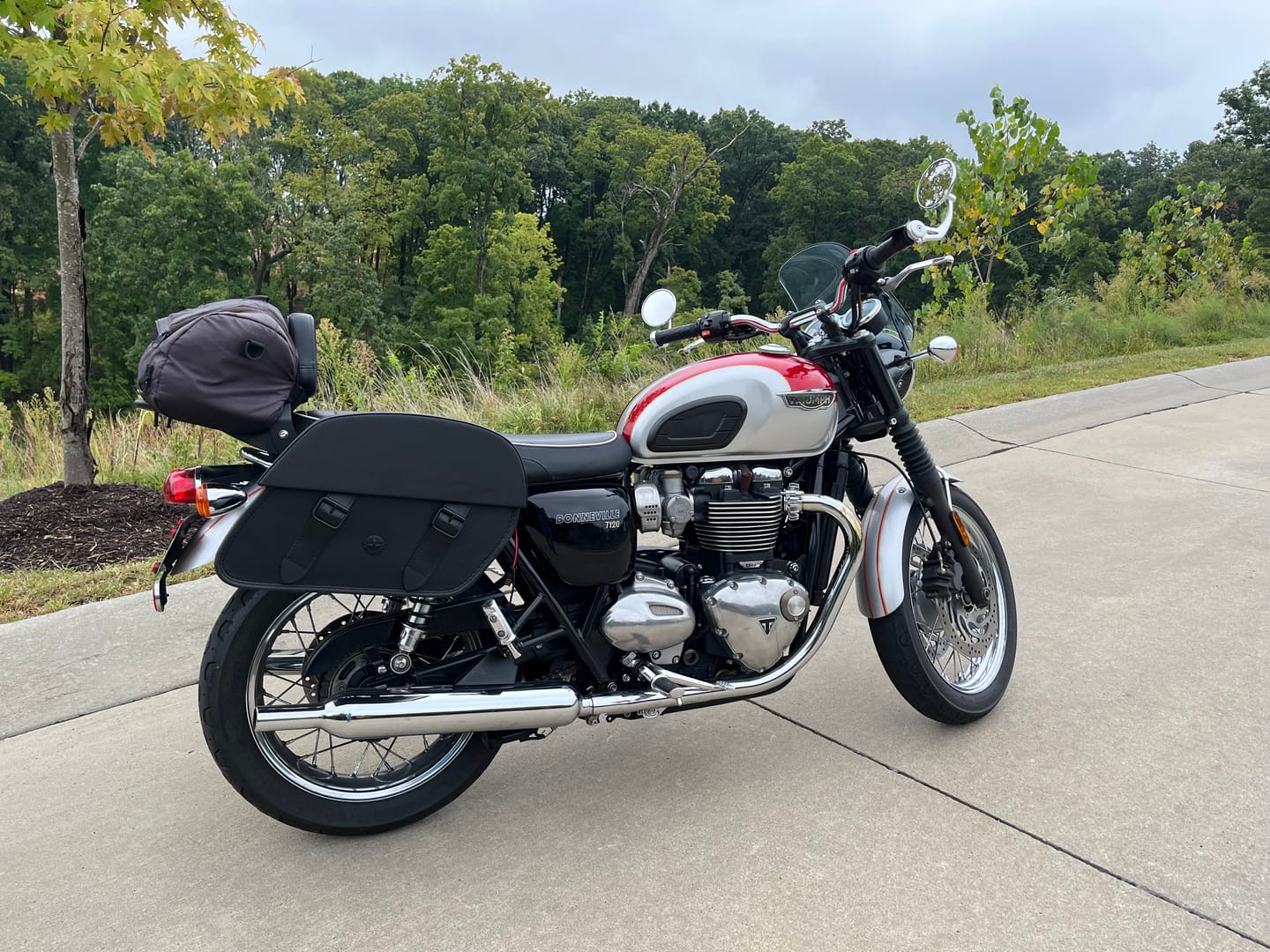 Customer photo review of 28L - Baelor Medium Quick Mount Triumph Bonneville T120 Motorcycle Saddlebags