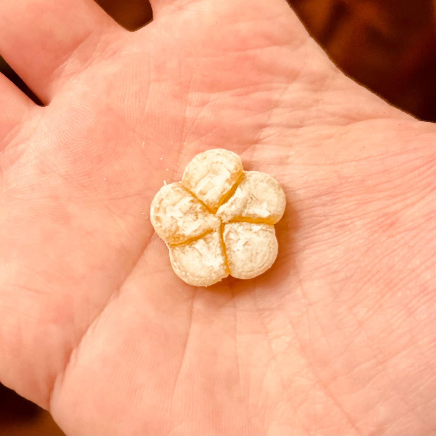 Customer photo review of Aloe Grape (10mg) Value Pack