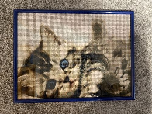Customer photo review of Kitten with blue eyes | Diamond Painting Kit