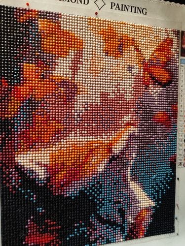 Customer photo review of Fox and butterfly | Diamond Painting Kit