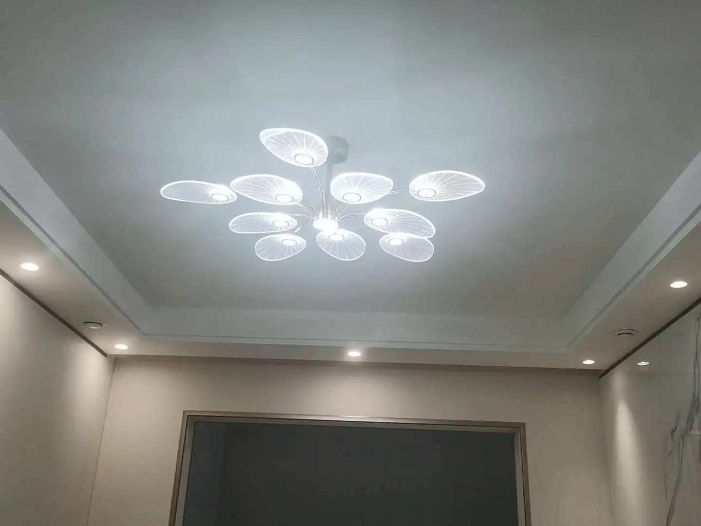 Customer photo review of Gold Acrylic Chandelier for Living Room, Tiered Leaves, 103 cm