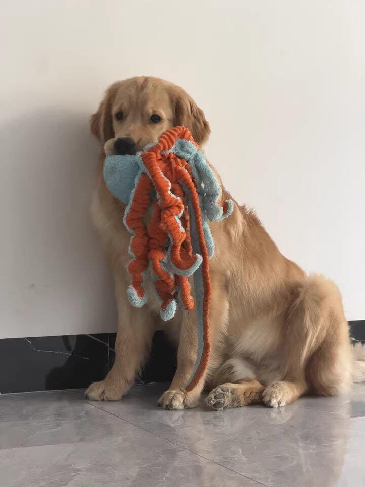 Customer photo review of Big Octopus - Interactive Plush Squeaky Dog Toy