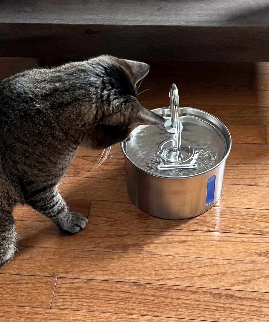 Customer photo review of IsaPet - Fuente de Agua Inalámbrica Mascotas 2.2L