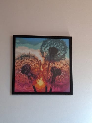 Customer photo review of Hummingbird, Colorful | Diamond Painting Kit