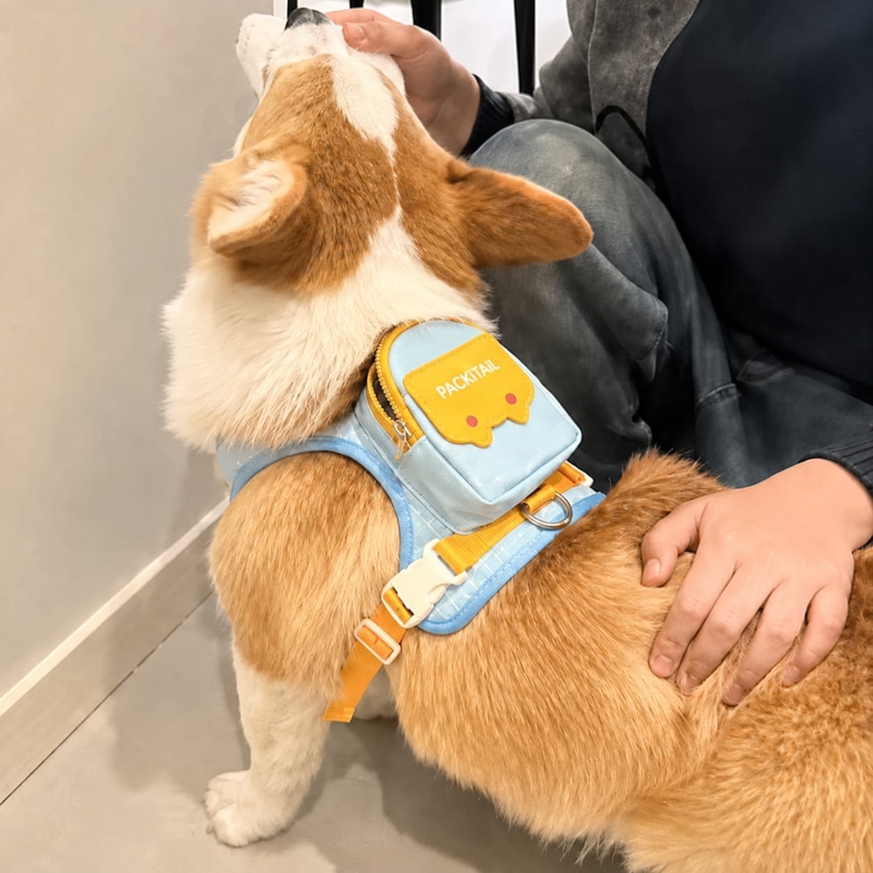 Customer photo review of WUFFLE™ Pet Backpack Harness