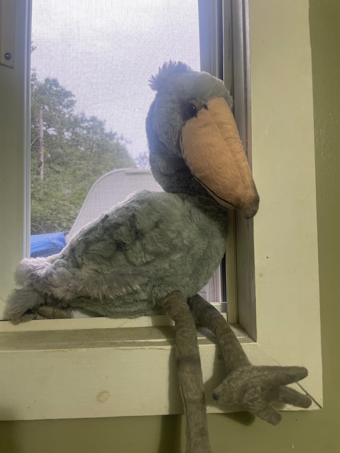 Customer photo review of Shoebill Stork Bird Soft Stuffed Plush Toy