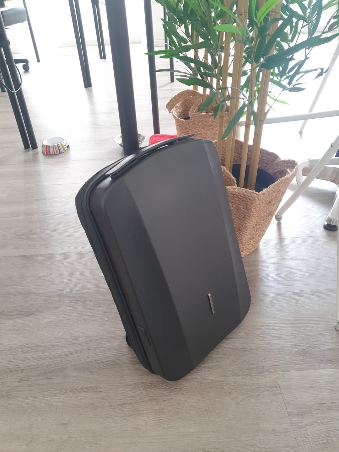 Customer photo review of The Ratio Arc Pro: MarkRyden First Kickstarter campaign - Hard-shell Waterproof Laptop Backpack