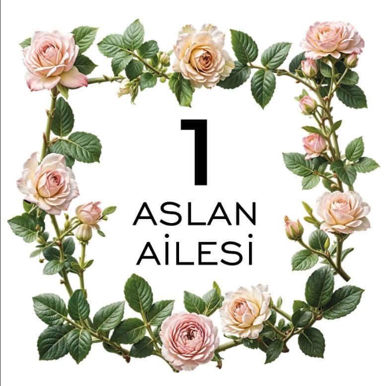 Customer photo review of Kişiye Özel Gül Desenli Kapı Numarası ve Aile İsimliği