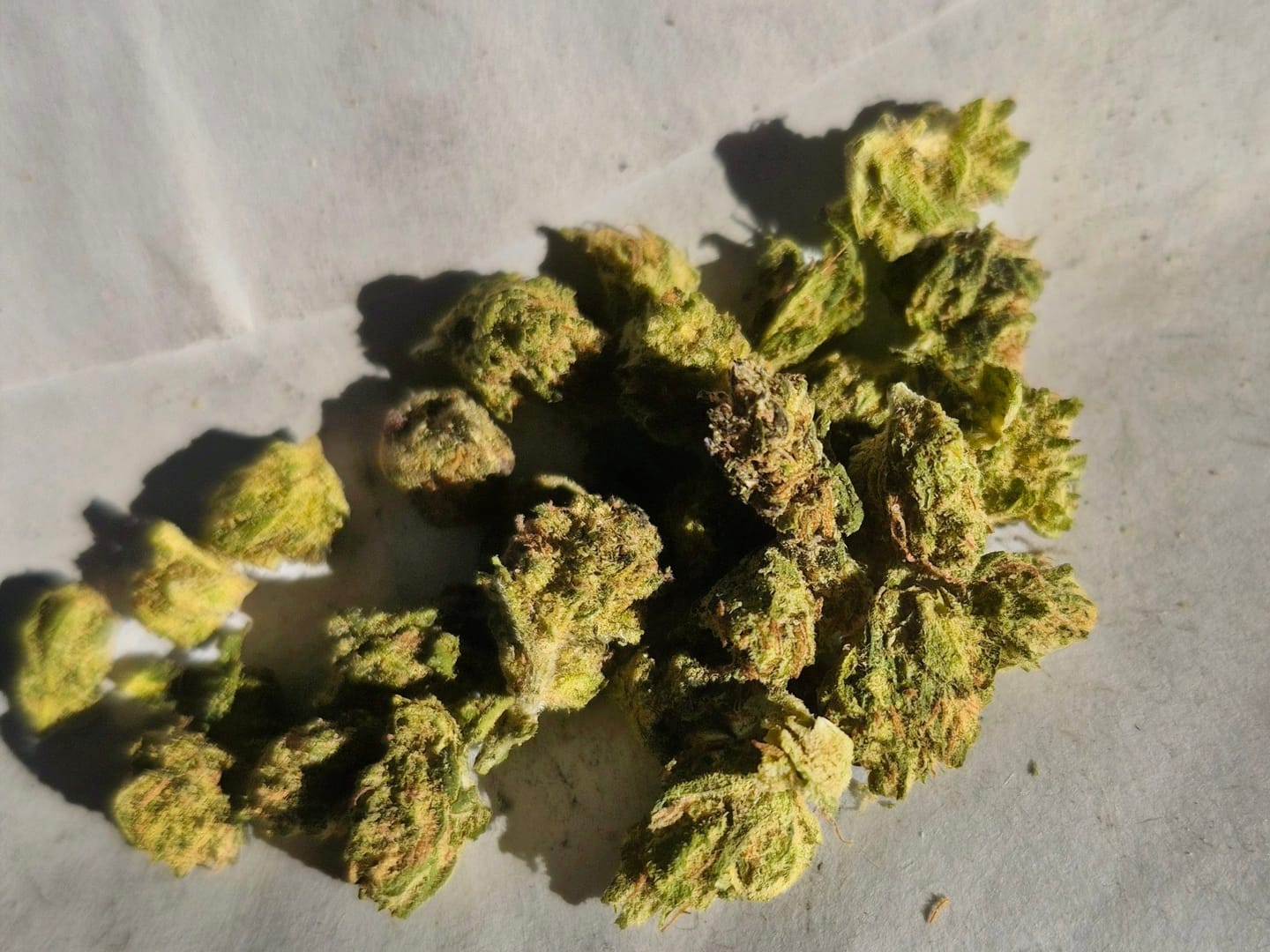 Customer photo review of GDP THCA Flower