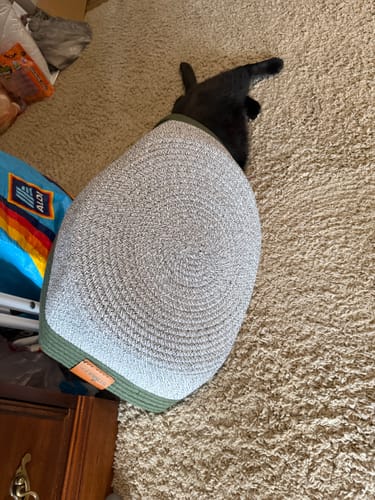 Customer's black cat laying inside the grey, woven Instinct Basket on a carpeted floor.