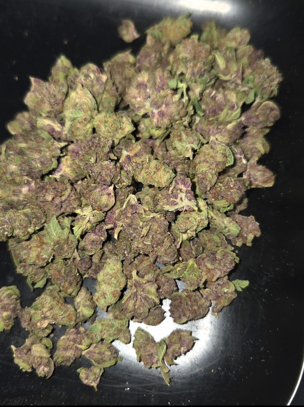 Customer photo review of Granddaddy Purple - Minis - 28 Grams - Indica