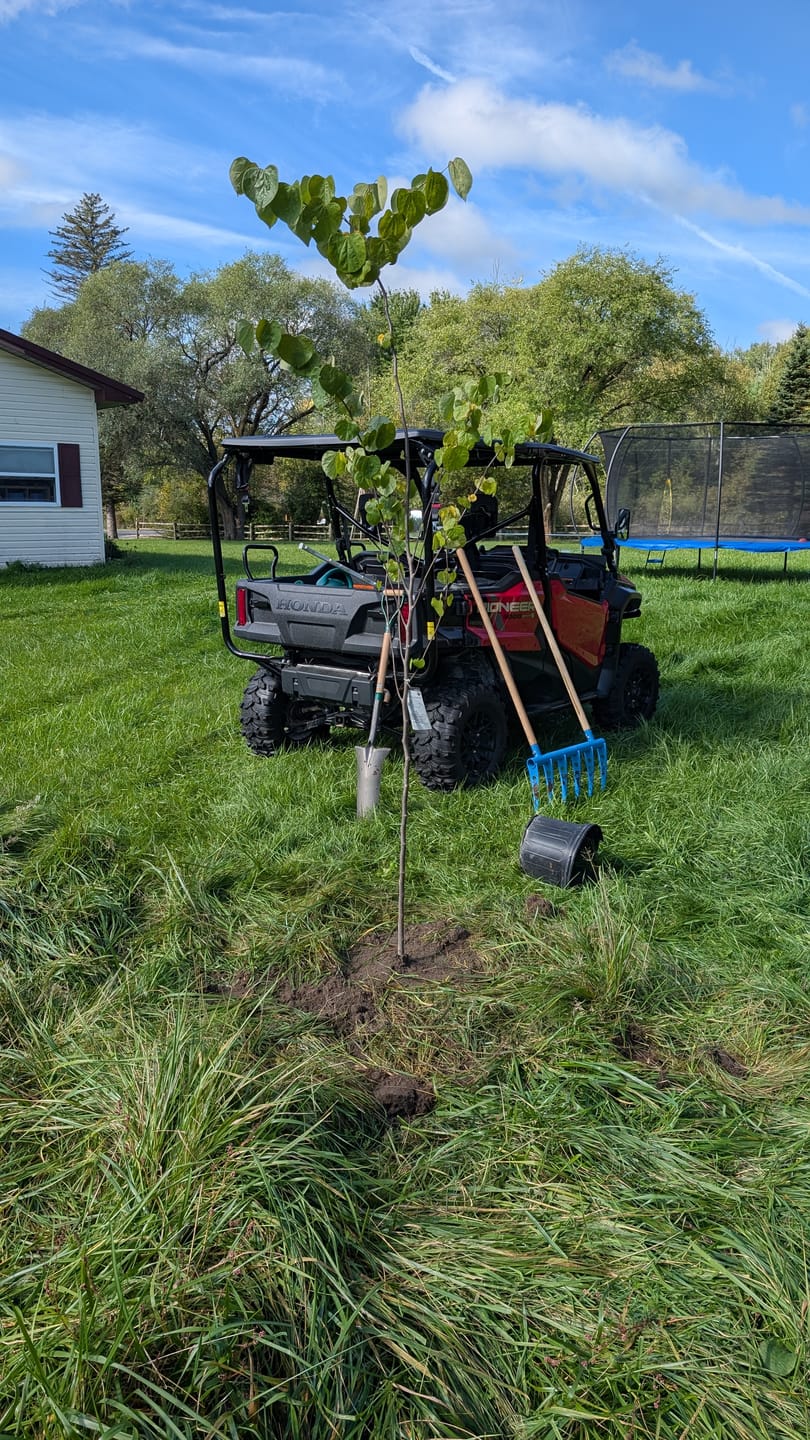 Customer photo review of Square Foot Gardener Treadlite Broadfork | 24" wide | 6 tines