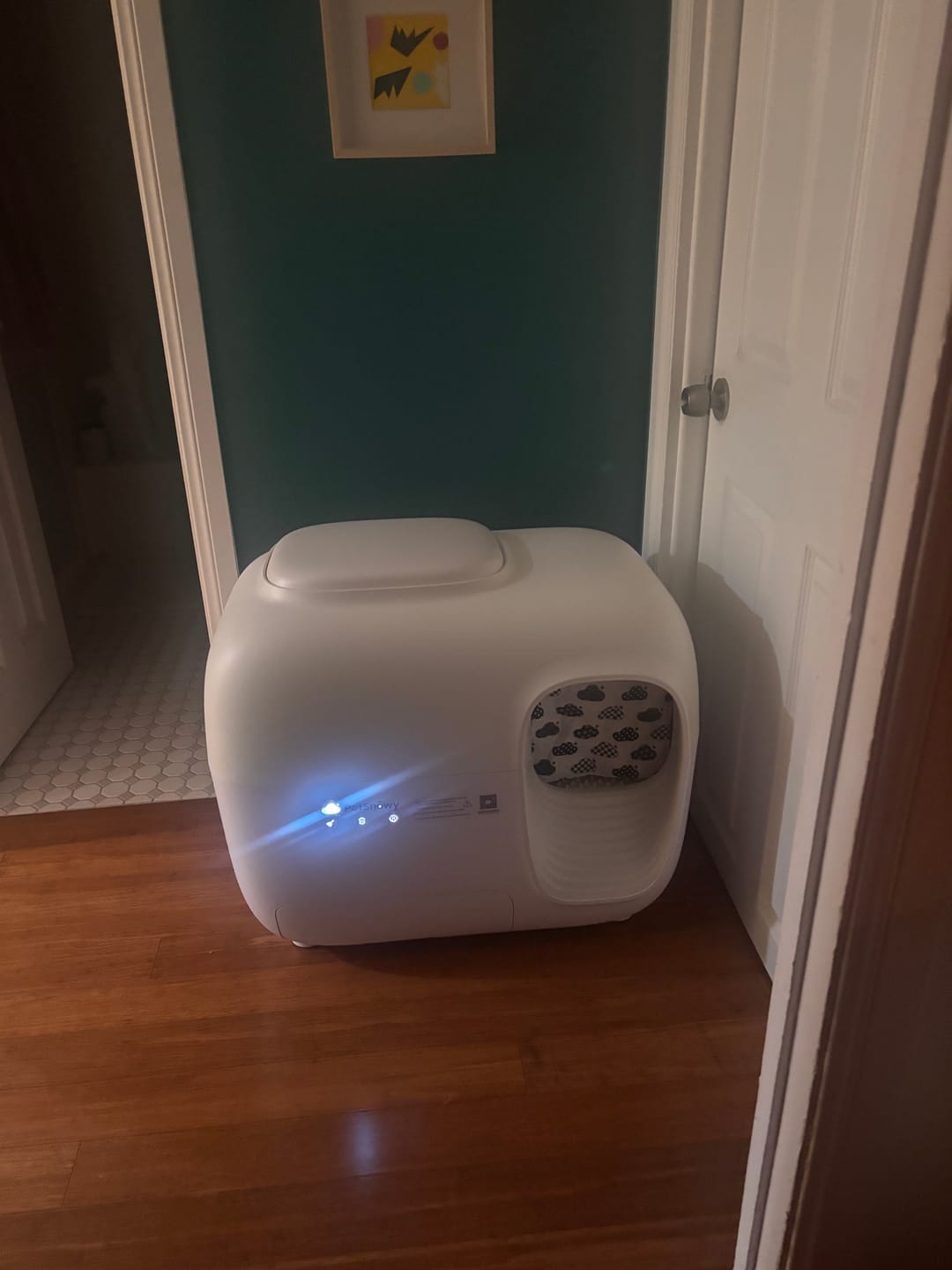 Customer photo review of Self-Cleaning Litter Box