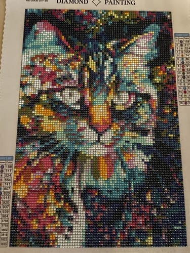 Customer photo review of Surprise Design | Mystery Diamond Painting Kit