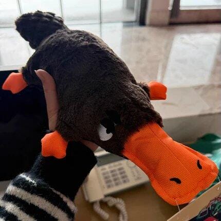 Customer photo review of Quacking Platypus - Interactive Plush Squeaky Dog Toy