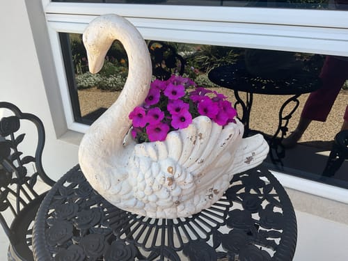 Customer's Genevieve French Provincial Swan Planter in antique white holding vibrant purple flowers on a metal table.