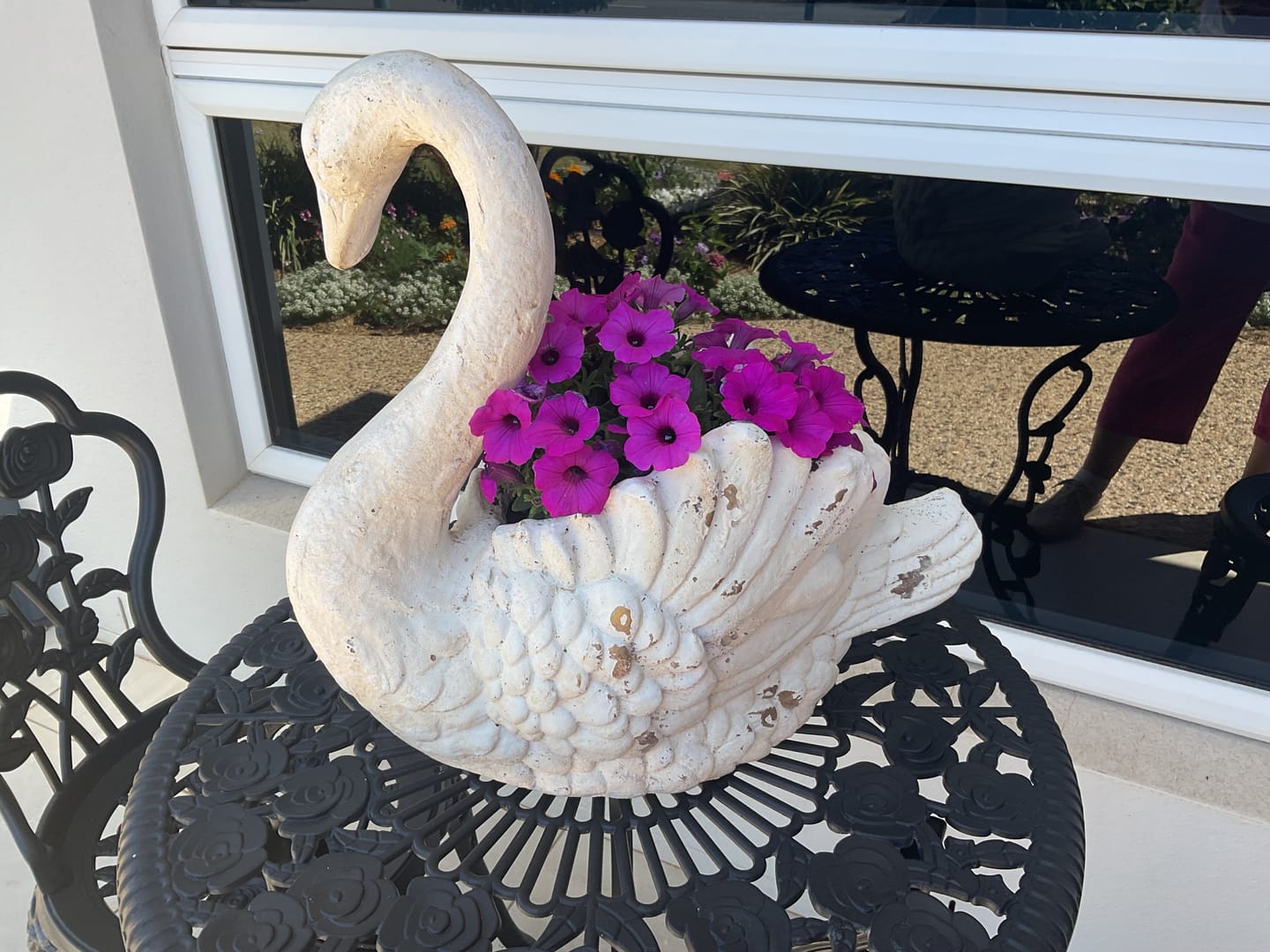 Customer photo review of Genevieve French Provincial Swan Planter, Whitewashed Magnesia Garden Decor 41cm