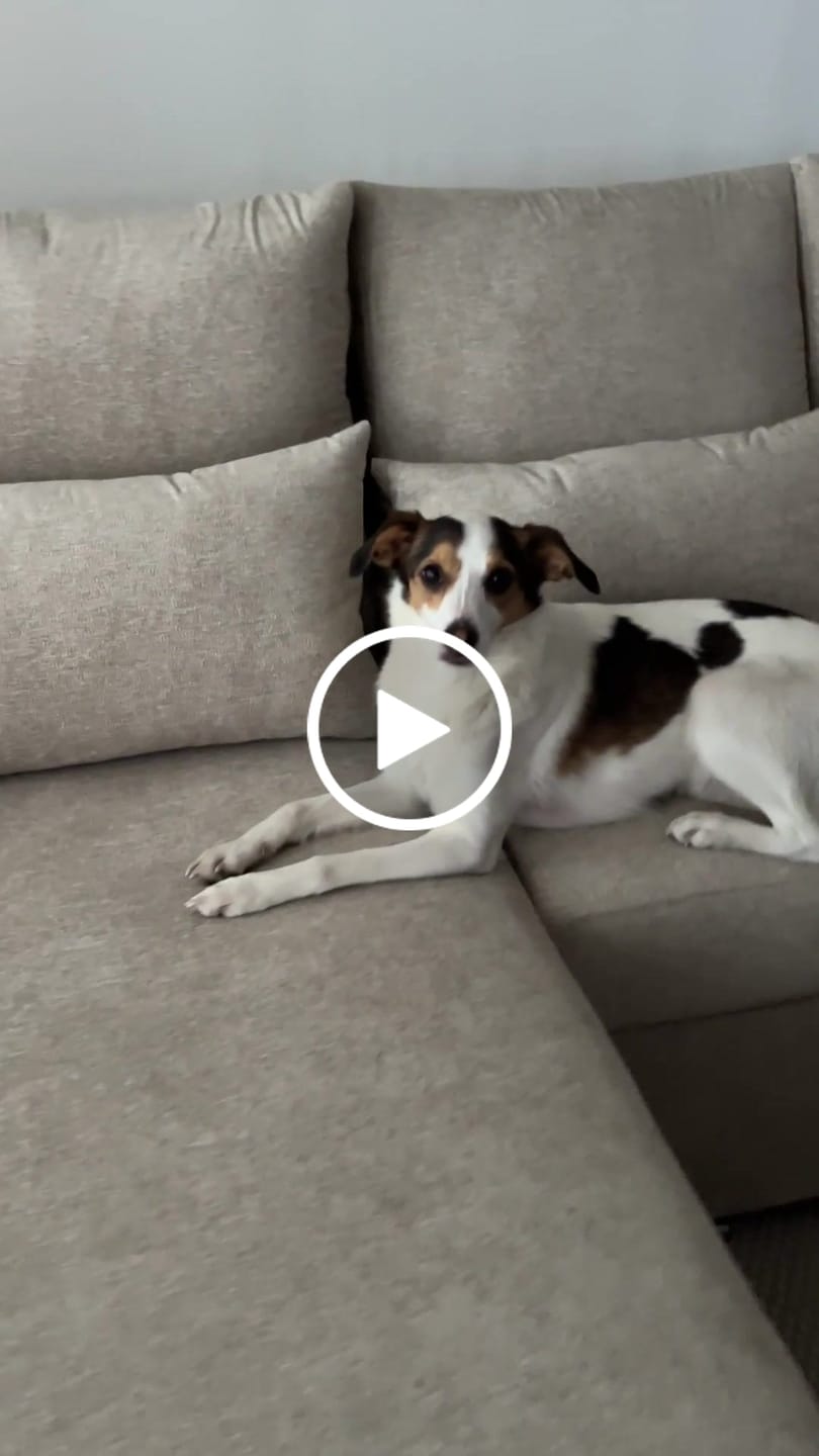 Customer video review of Sofá cama Mykonos
