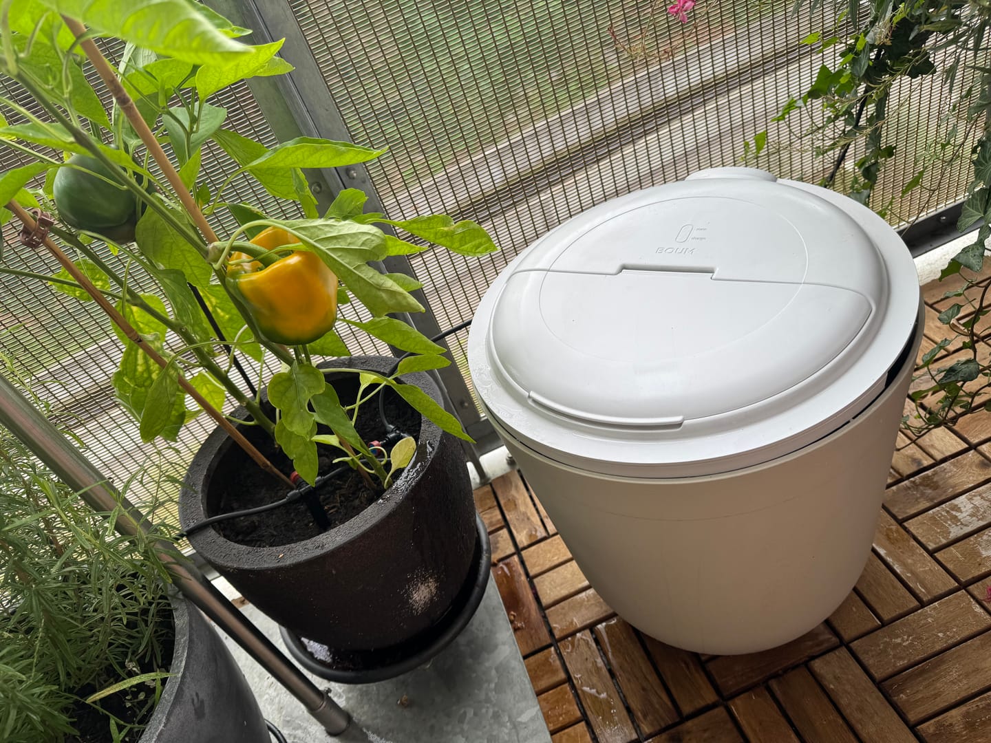 Customer photo review of Boum 2 Steuerung (Classic)