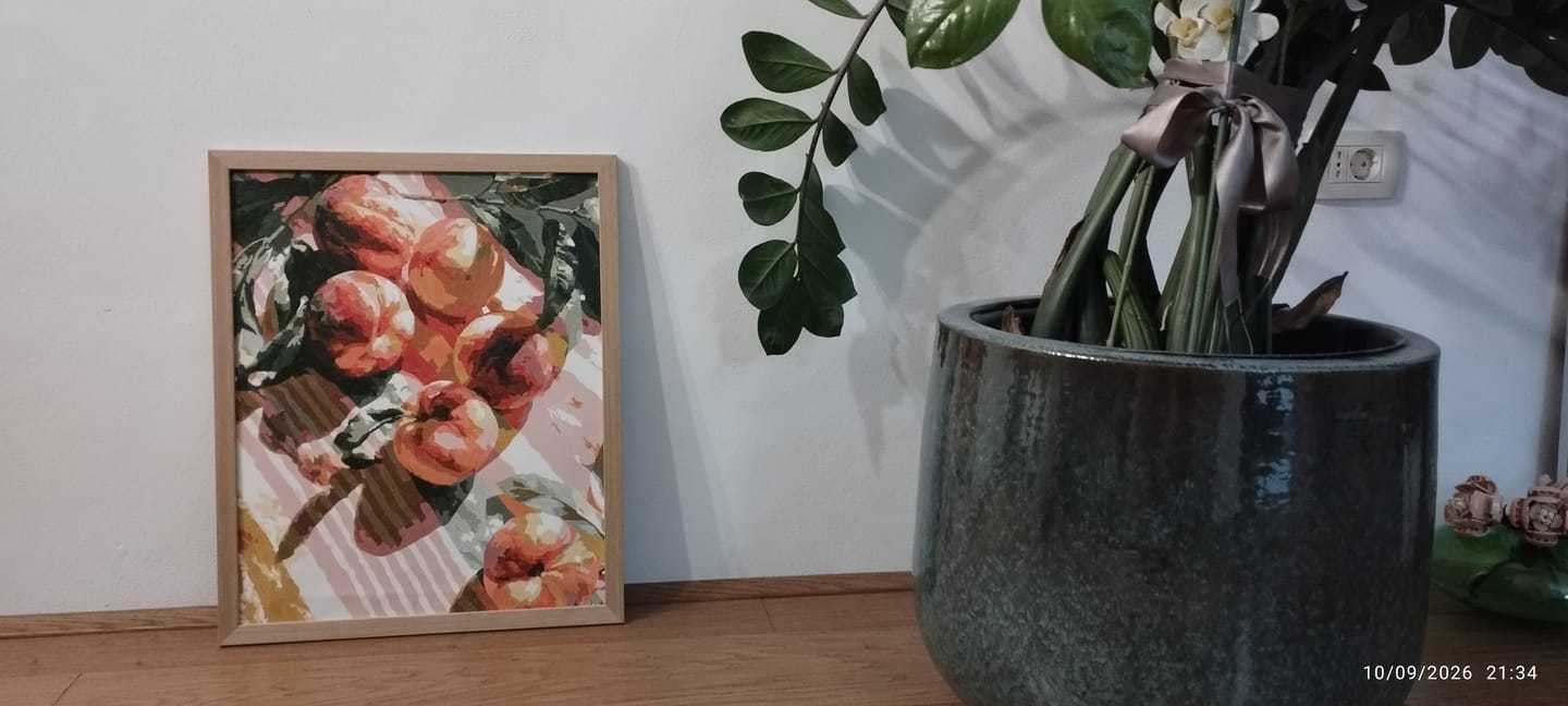 Customer photo review of Sunlight Peaches | Paint by Number