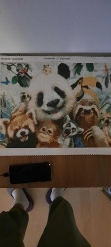 Customer photo review of Jungle Friends | Diamond Painting Kit