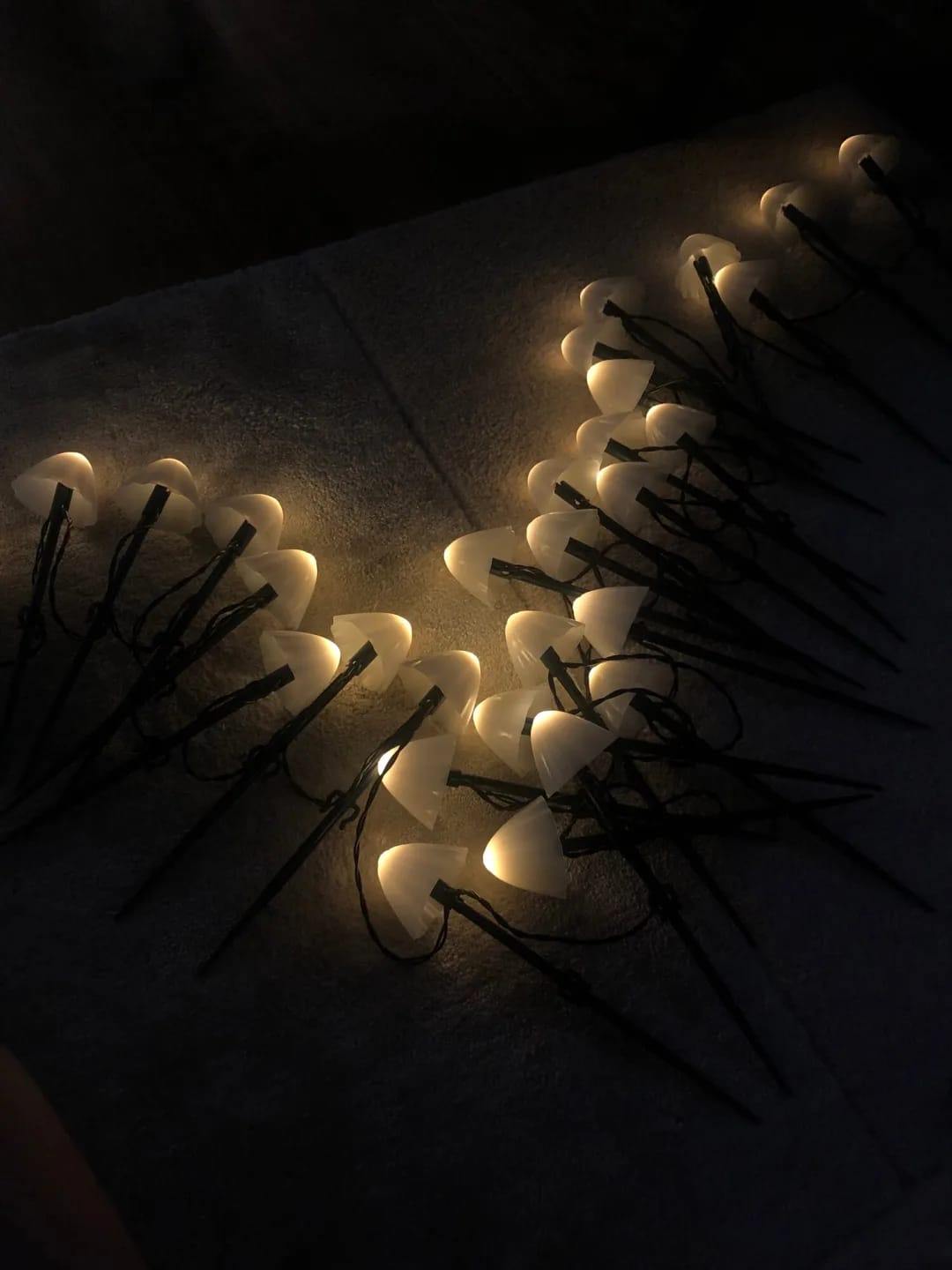 Customer photo review of Colourful String Lights for Garden, Solar Mushroom, 350 cm