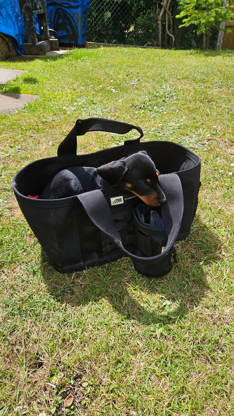 Customer photo review of DiamondBack Toolbelts | Baere Tote X