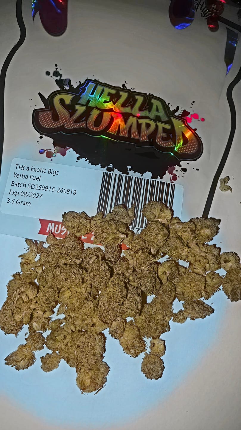 Customer photo review of Yerba Fuel