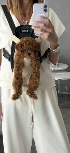 Customer photo review of Sweet Animal Pet&Go