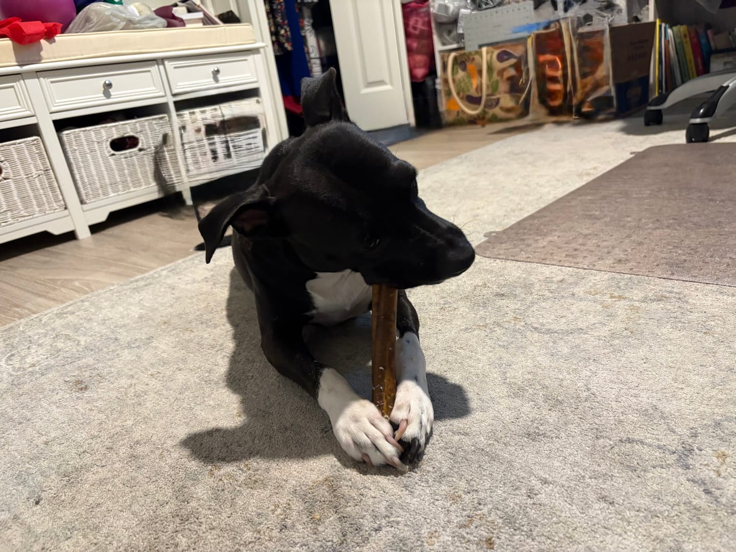 Customer photo review of Super Bull Sticks