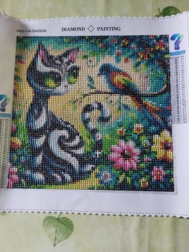 Customer photo review of Surprise Design | Mystery Diamond Painting Kit