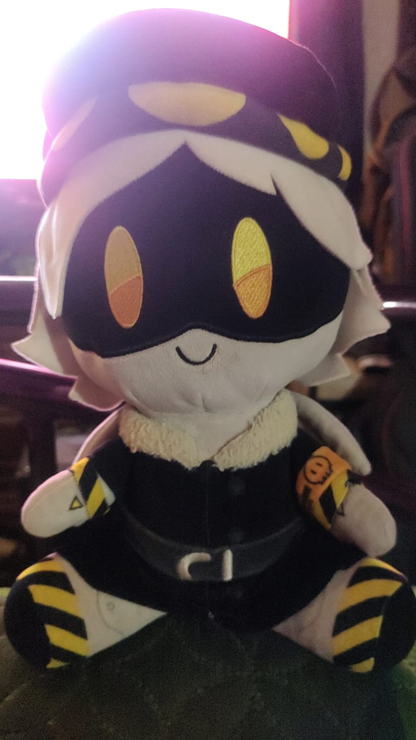 Customer photo review of N Plush