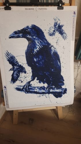 Customer photo review of Color impression raven | Diamond Painting Kit