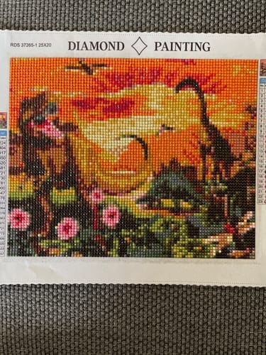 Customer photo review of Dinosaur | Diamond Painting Kit