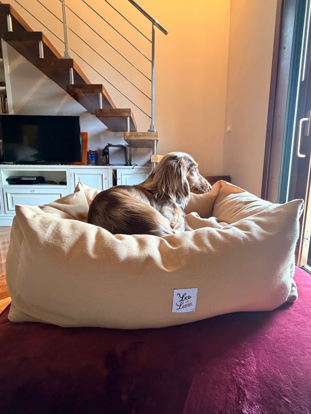 Customer photo review of Divanetto Cotone Siena Nocciola