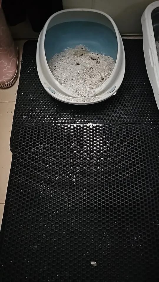 Customer photo review of The MiloPaw™ Ultimate LitterGuard