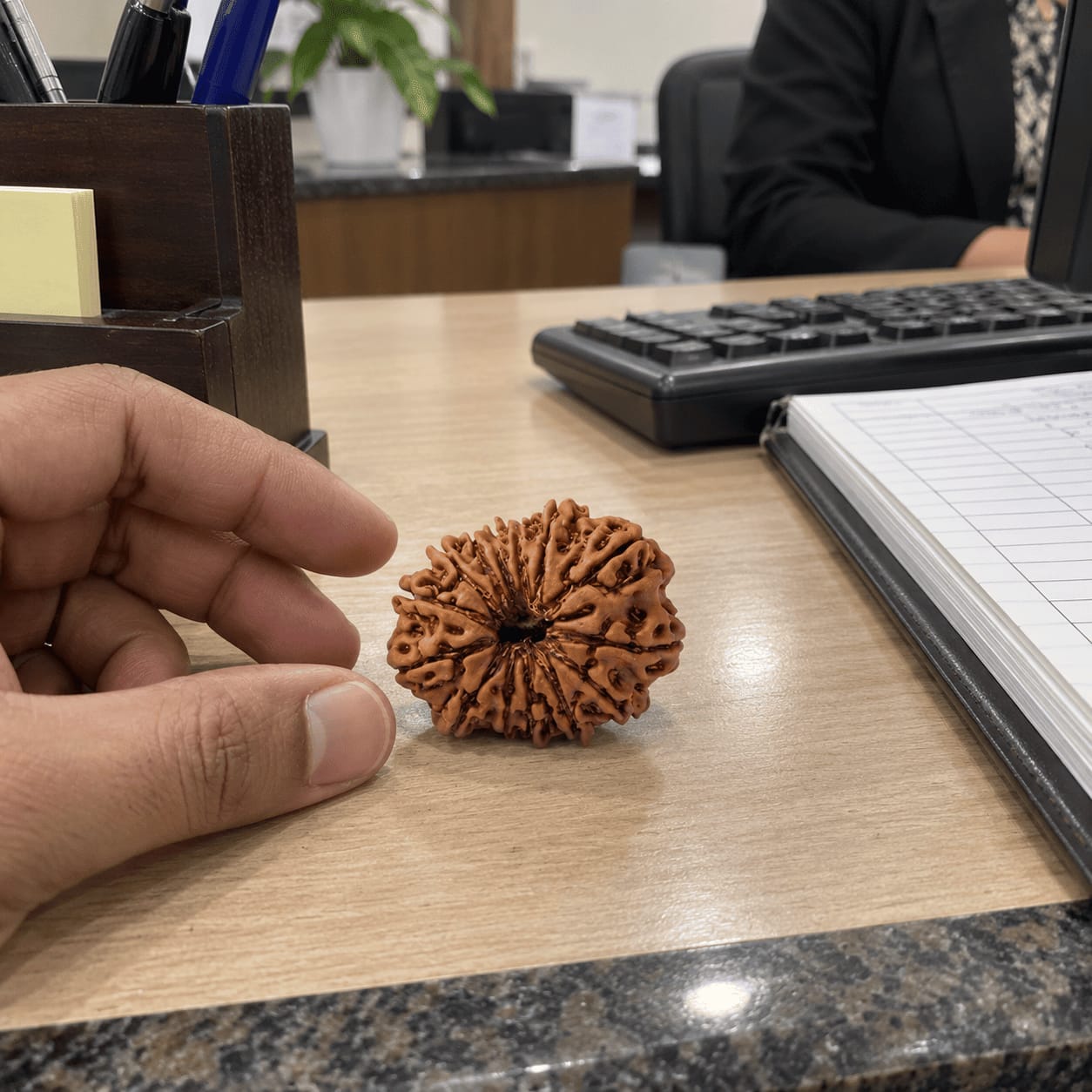 Customer photo review of 13 Mukhi Rudraksha (Nepali)