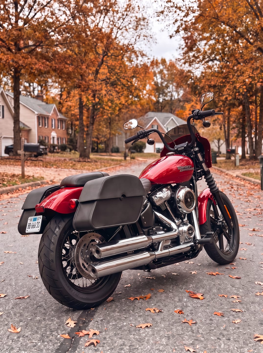 Customer photo review of 28L - Panzer Medium Quick Mount Leather Saddlebags For Harley Softail Street Bob FXBB/S