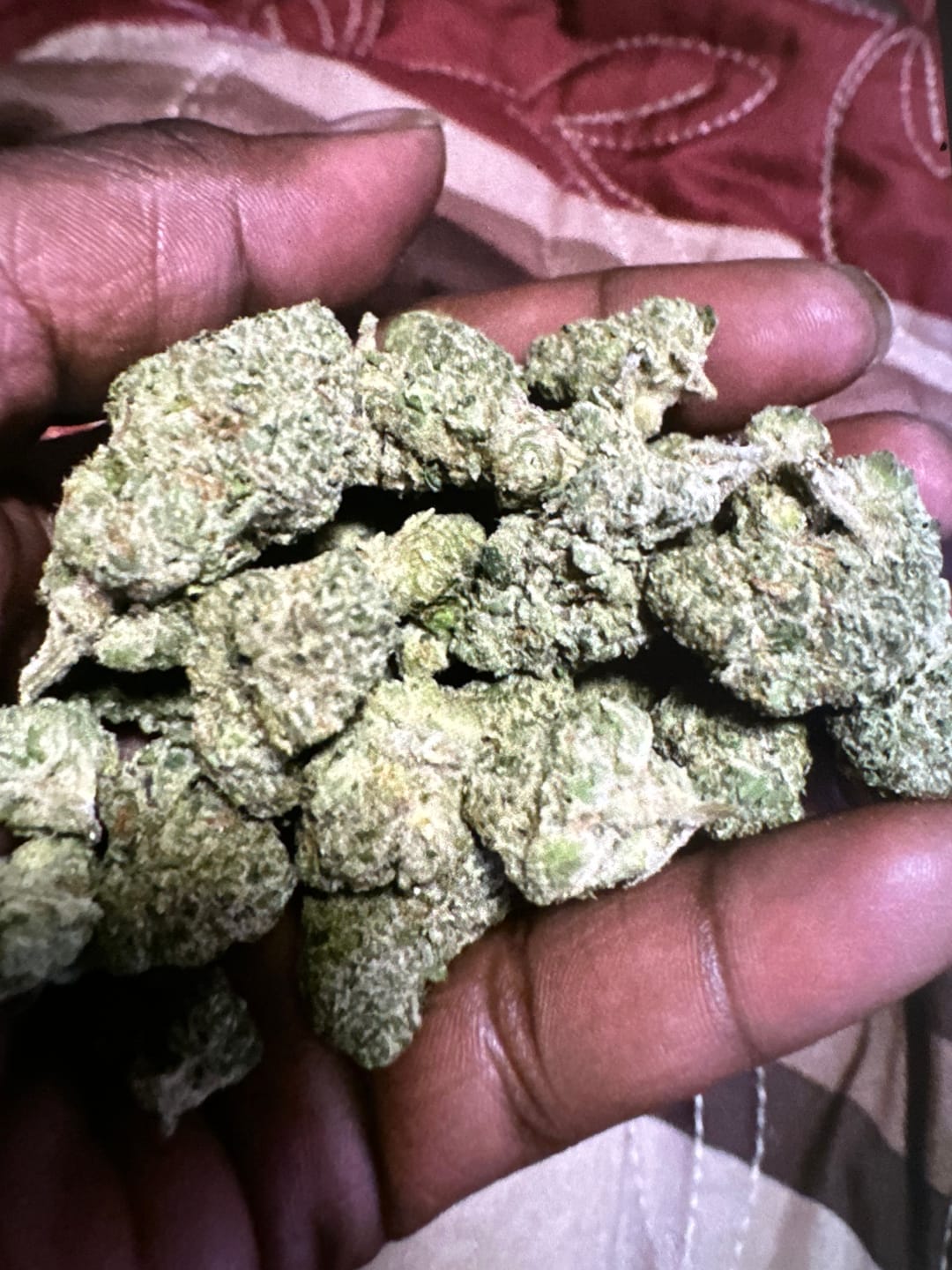 Customer photo review of Kinglato Light Assist THCA