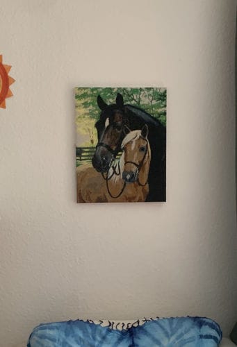 Customer photo review of Diamond Painting Sealer