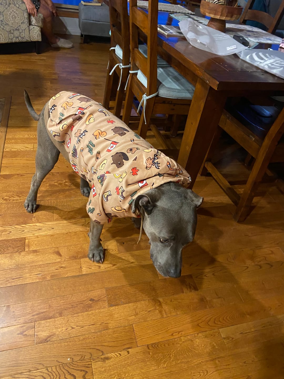 Customer photo review of The Canada Dog Hoodie