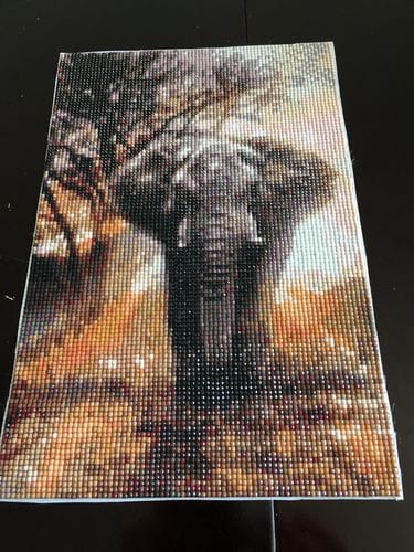 Customer photo review of In the face of the bull elephant | Diamond Painting Kit