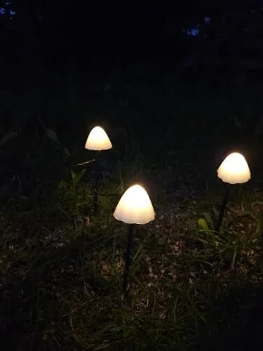 Customer photo review of Colourful String Lights for Garden, Solar Mushroom, 350 cm