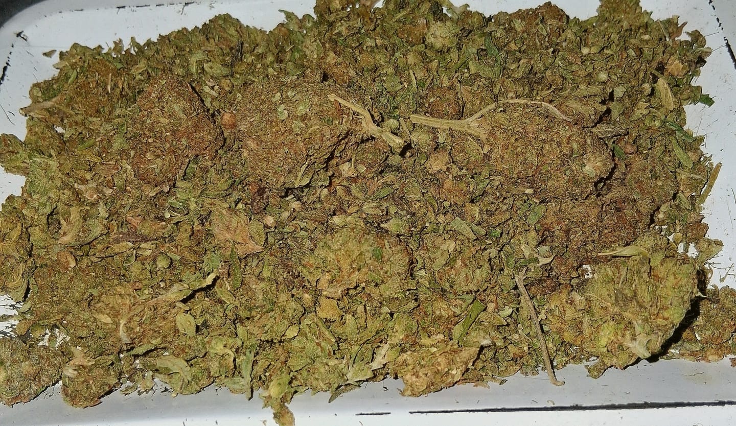 Customer photo review of Dank Work THCA Trim