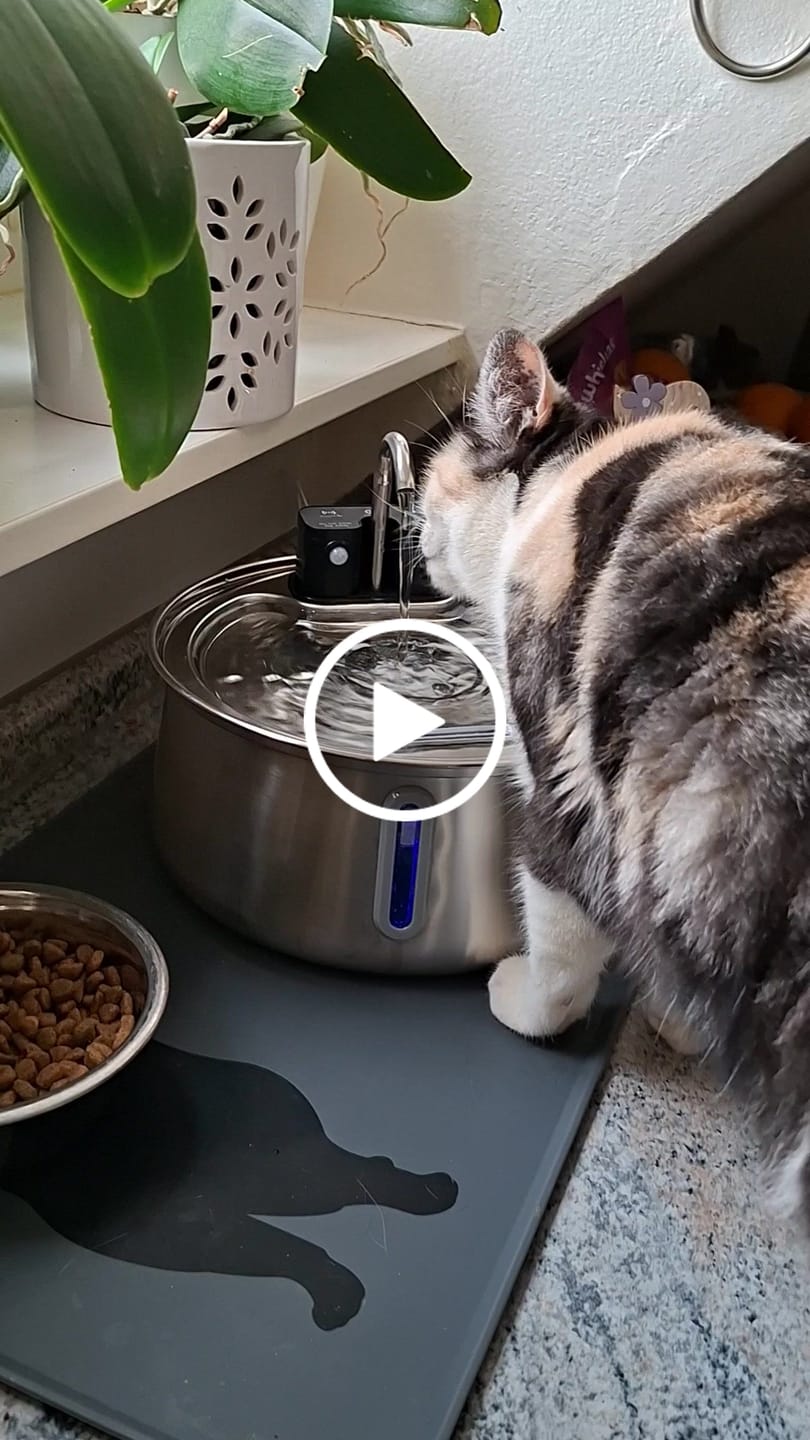 Customer video review of NordFlow 3.0 Katzenbrunnen