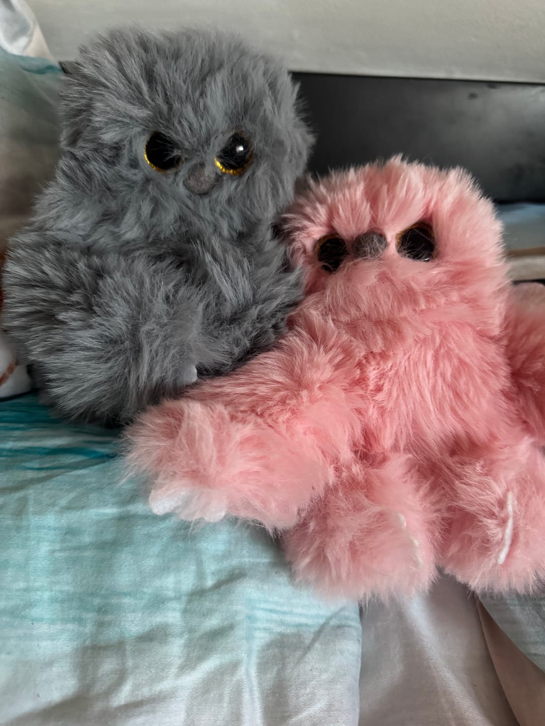 Customer photo review of Bolyhi – interaktív plüss, ami visszabeszél 🐾